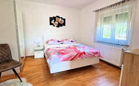 Apartments Pinezic